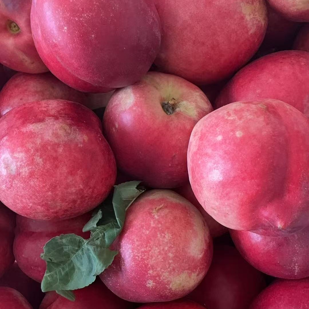 小赵生鲜｜沂蒙山油桃