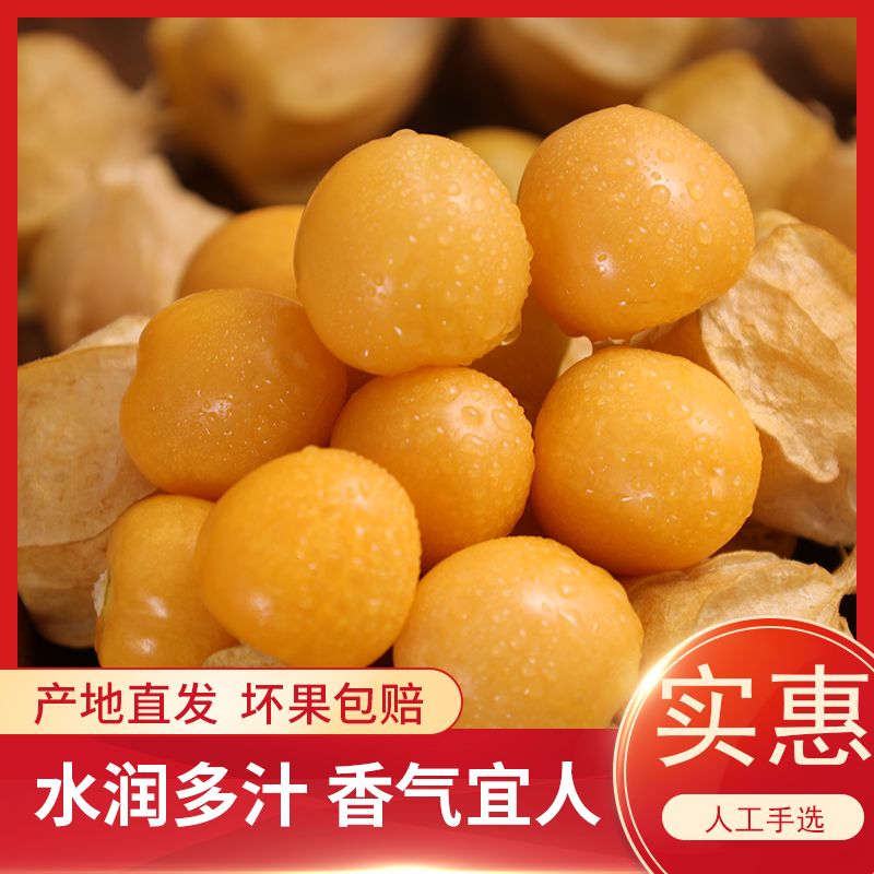 东北姑娘果菇娘果洋菇娘灯笼果香甜菇娘应季水果新鲜