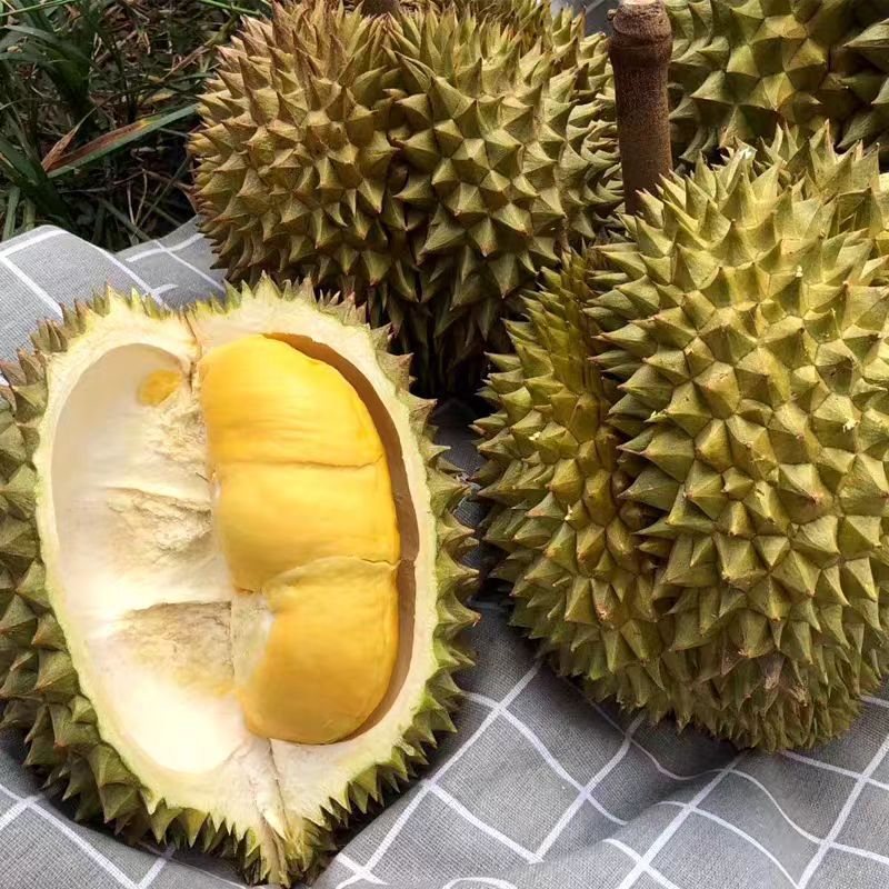  新鲜核小榴莲35.8一斤名臻泰国（5）名臻