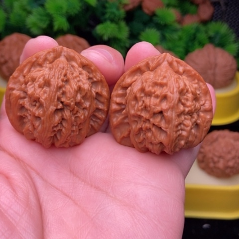 三角白38全品11111