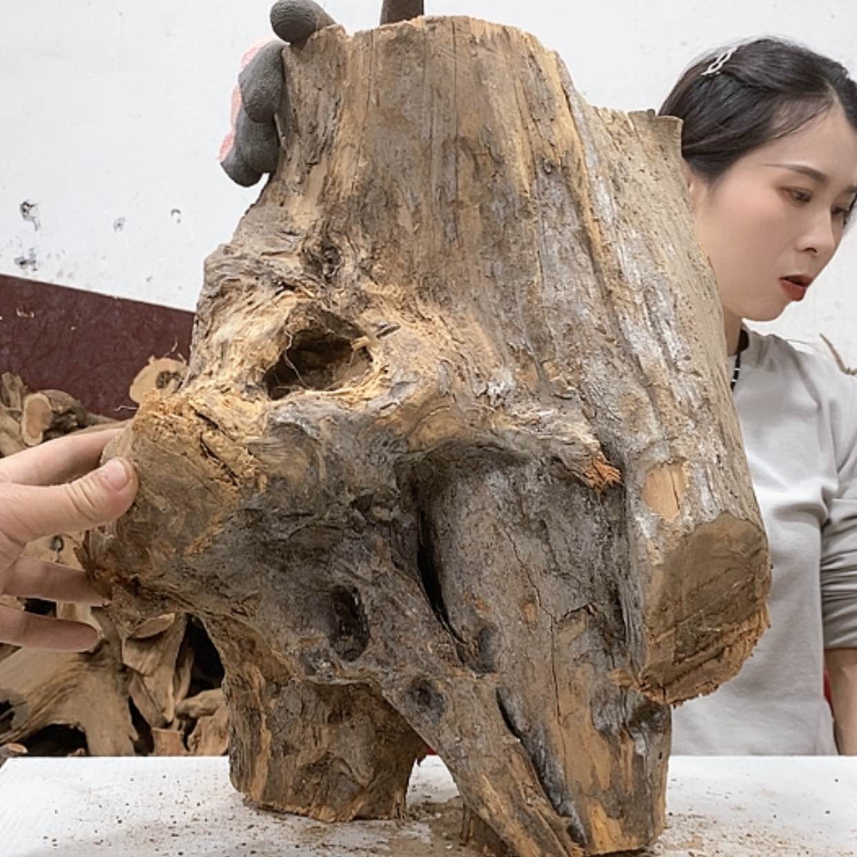 【闪购商品】柏木山*我们都是好孩子