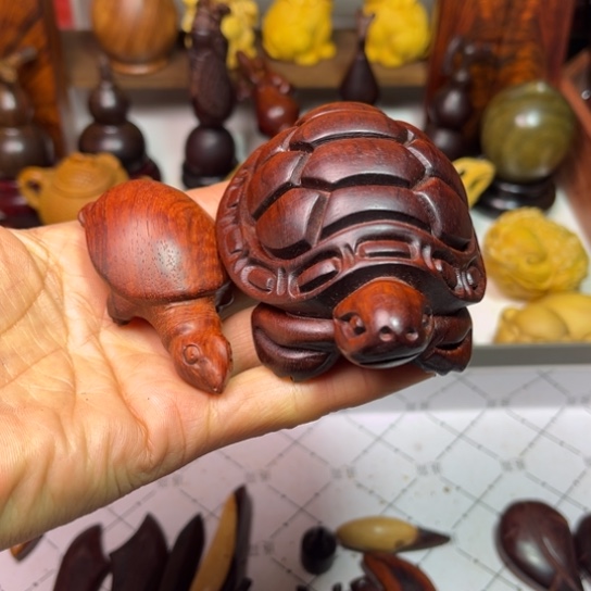 钱***市小叶的龟和高油密的龟