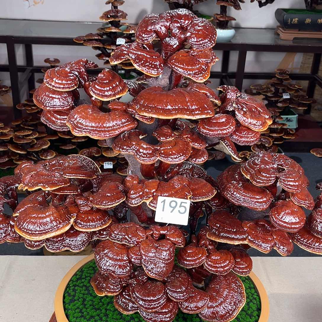 万事如意88888195