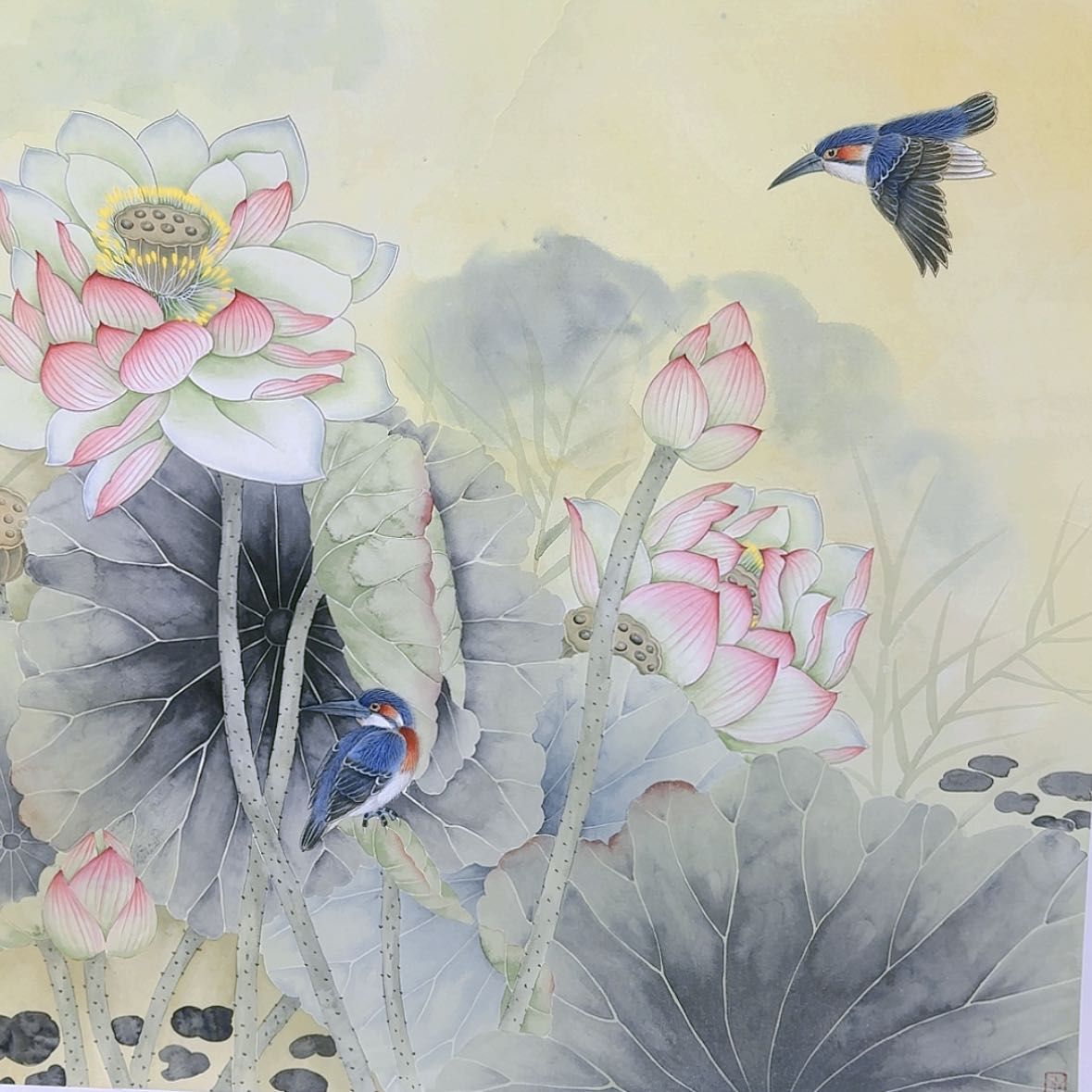 【闪购商品】国画书法作品欣赏，书法作品欣赏，书法