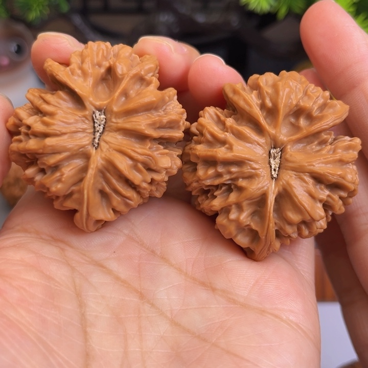 木质类文玩核桃帝王三棱45