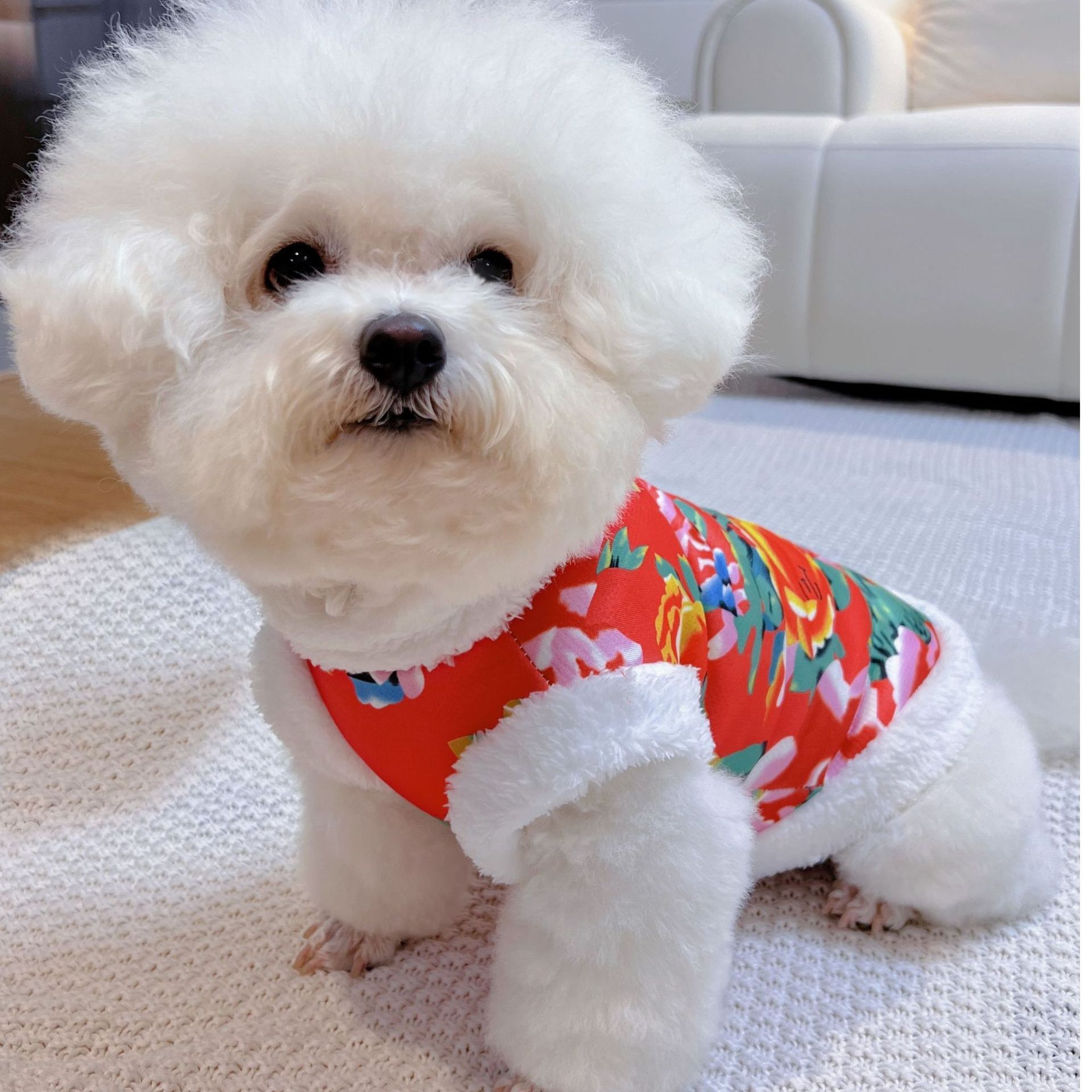 宠物衣服长袖猫咪东北花棉袄喜庆过年保暖冬季防风防掉毛小中大型