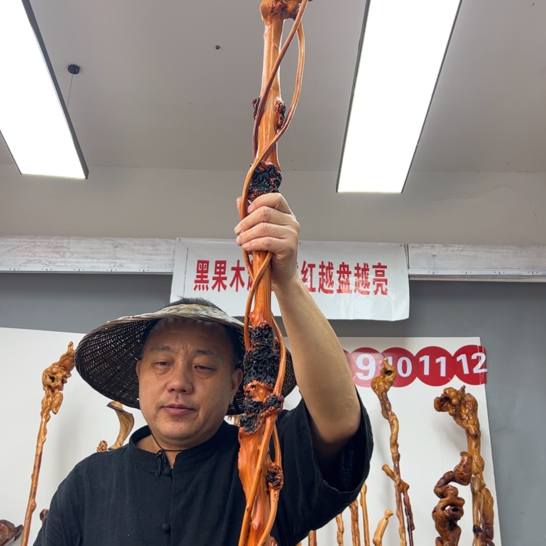 黑果木其他树*黑果木521