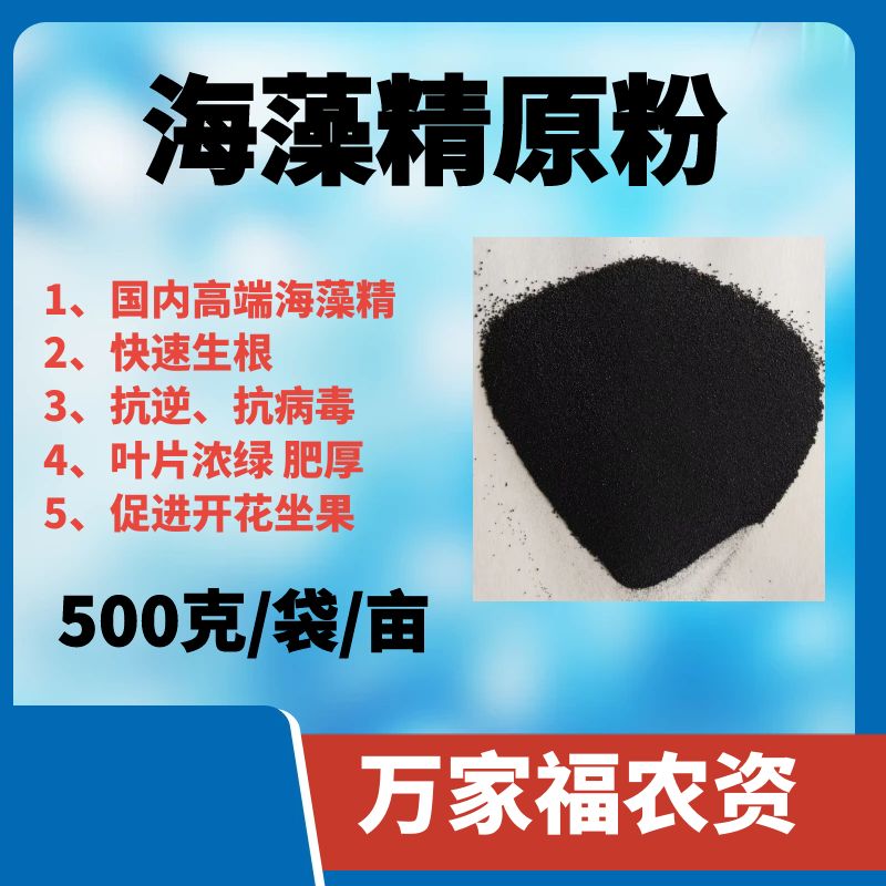 【海藻精原粉】国内高品质海藻精 添加进口泡叶藻500克一亩生根抗逆