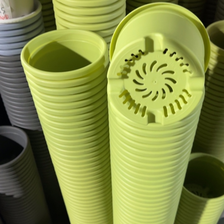 四季2号10个果绿色口径17花盆