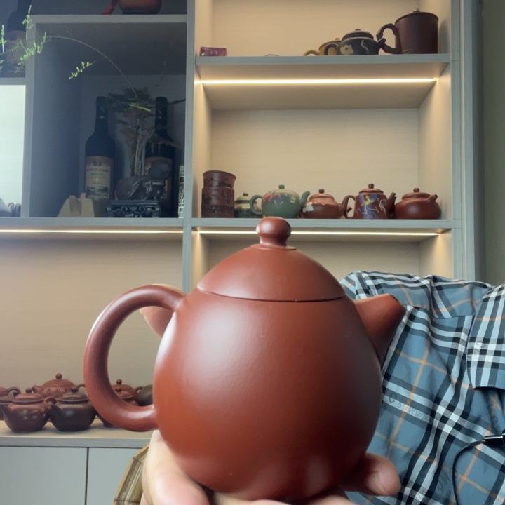 茶壶紫砂刚刚把vv共和国