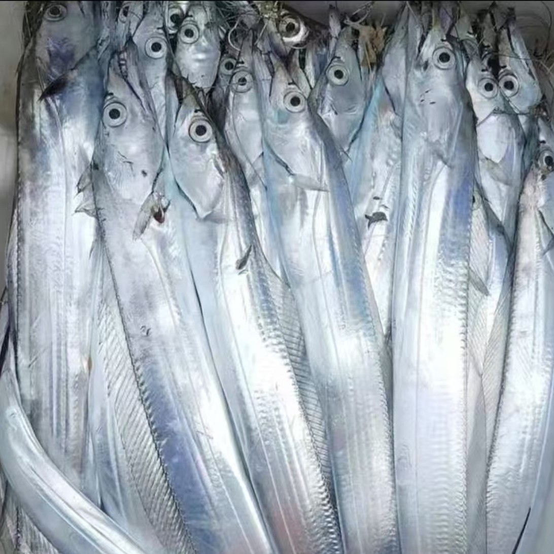 新鲜速冻深海钓带鱼 发货4斤 