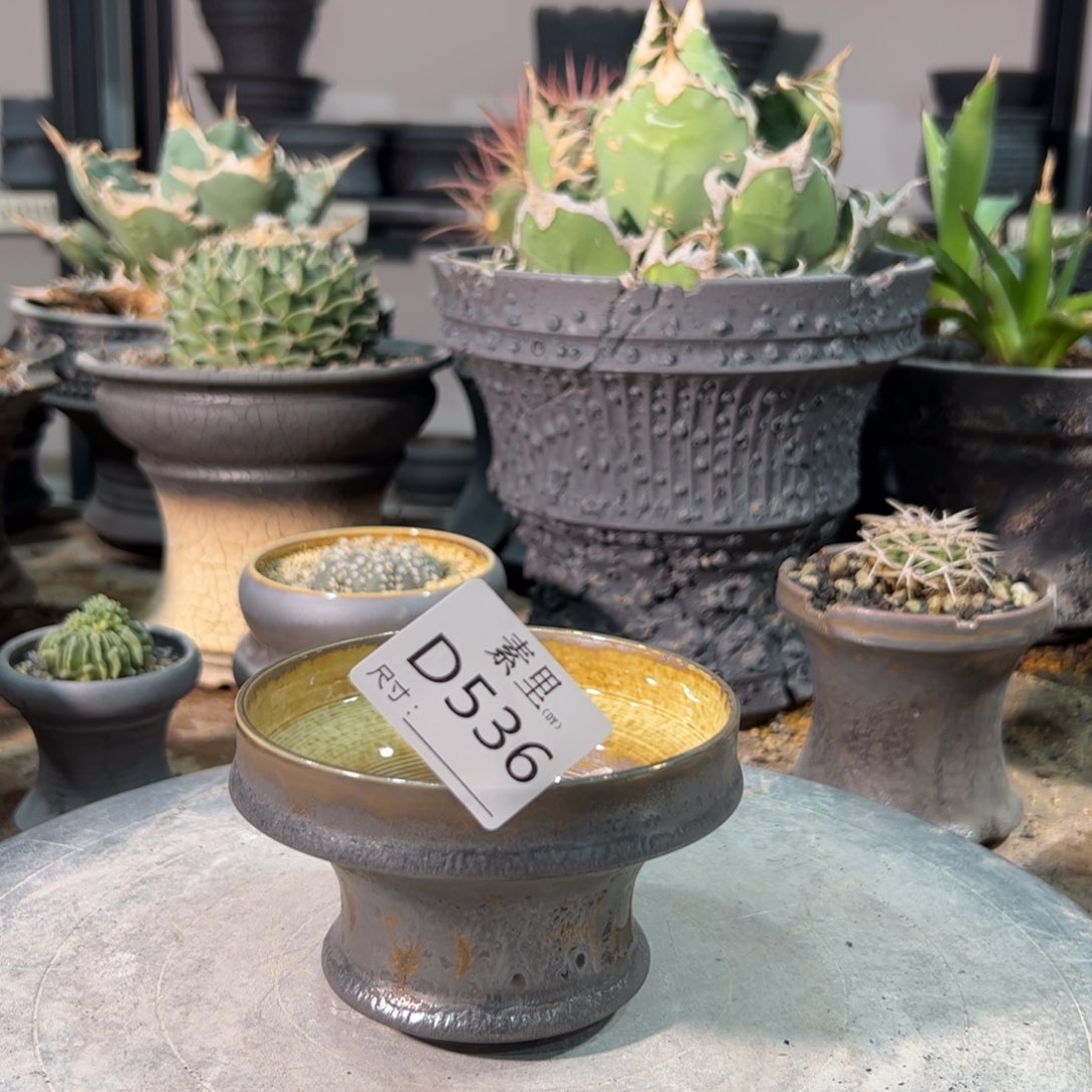 景德镇素里手工内口10高7