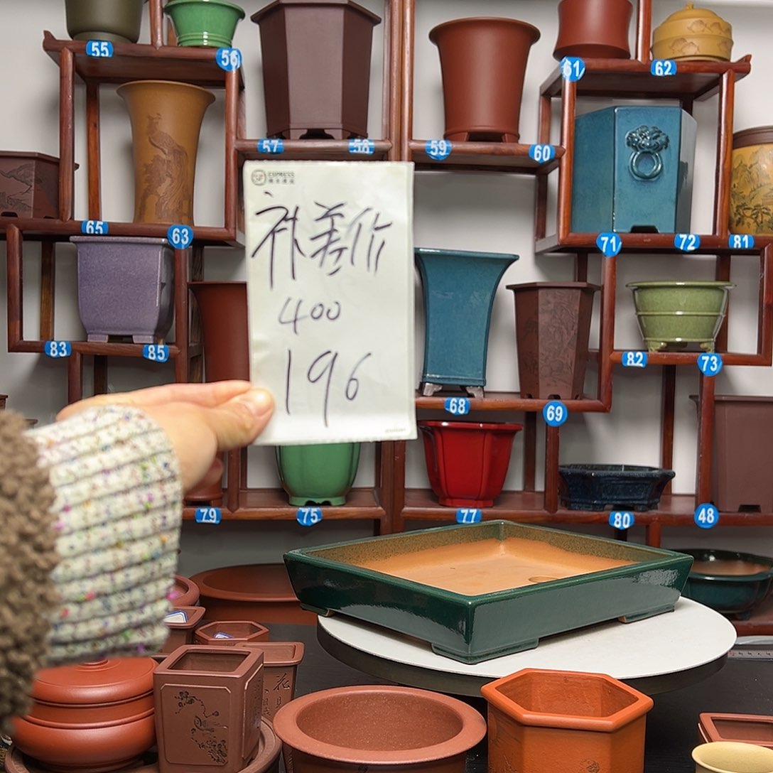 紫砂花盆美**哥紫砂花盆