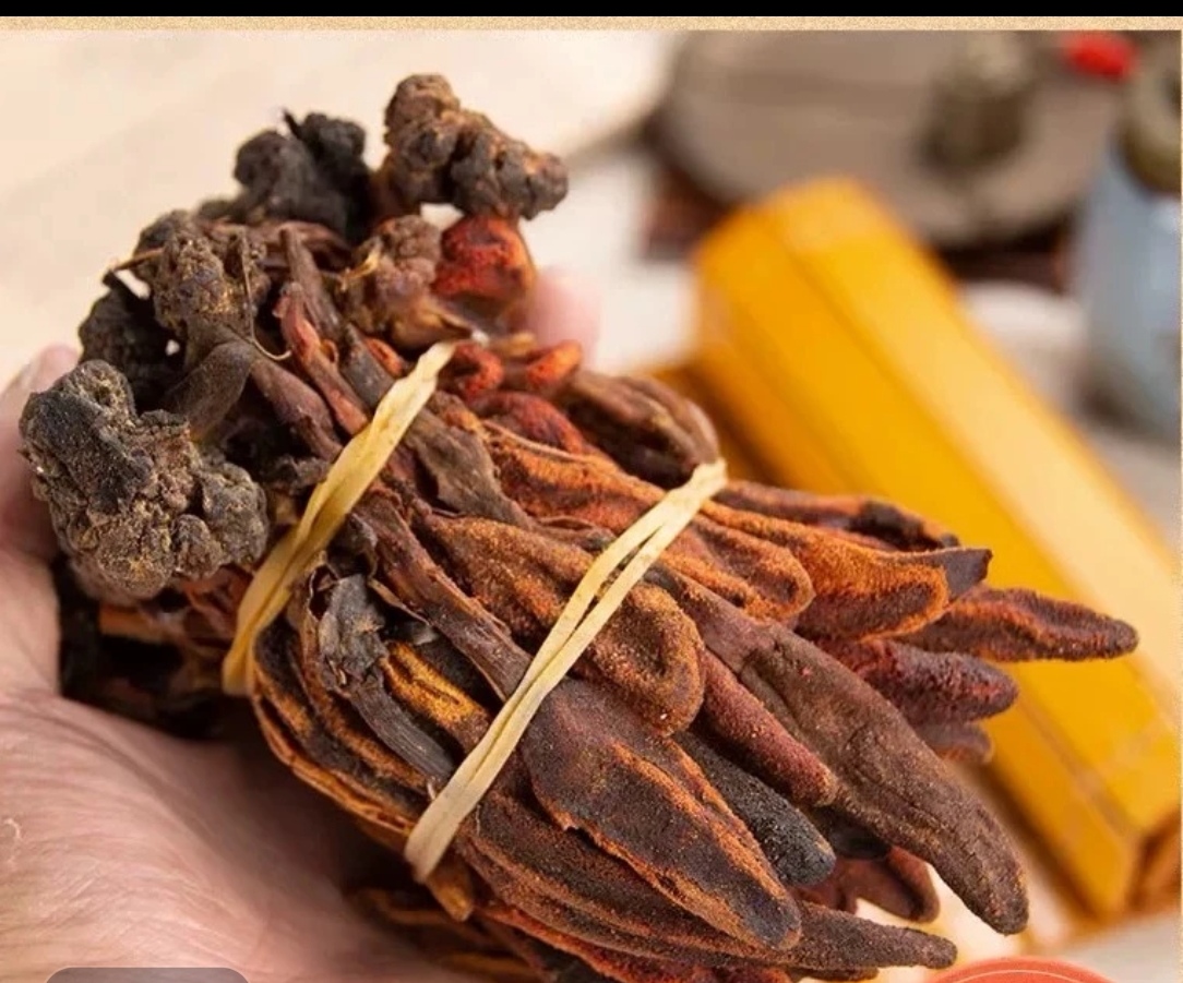 云南山货，【顶，天，柱】菇