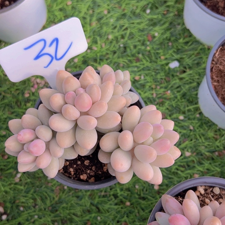 健健康康平平安安