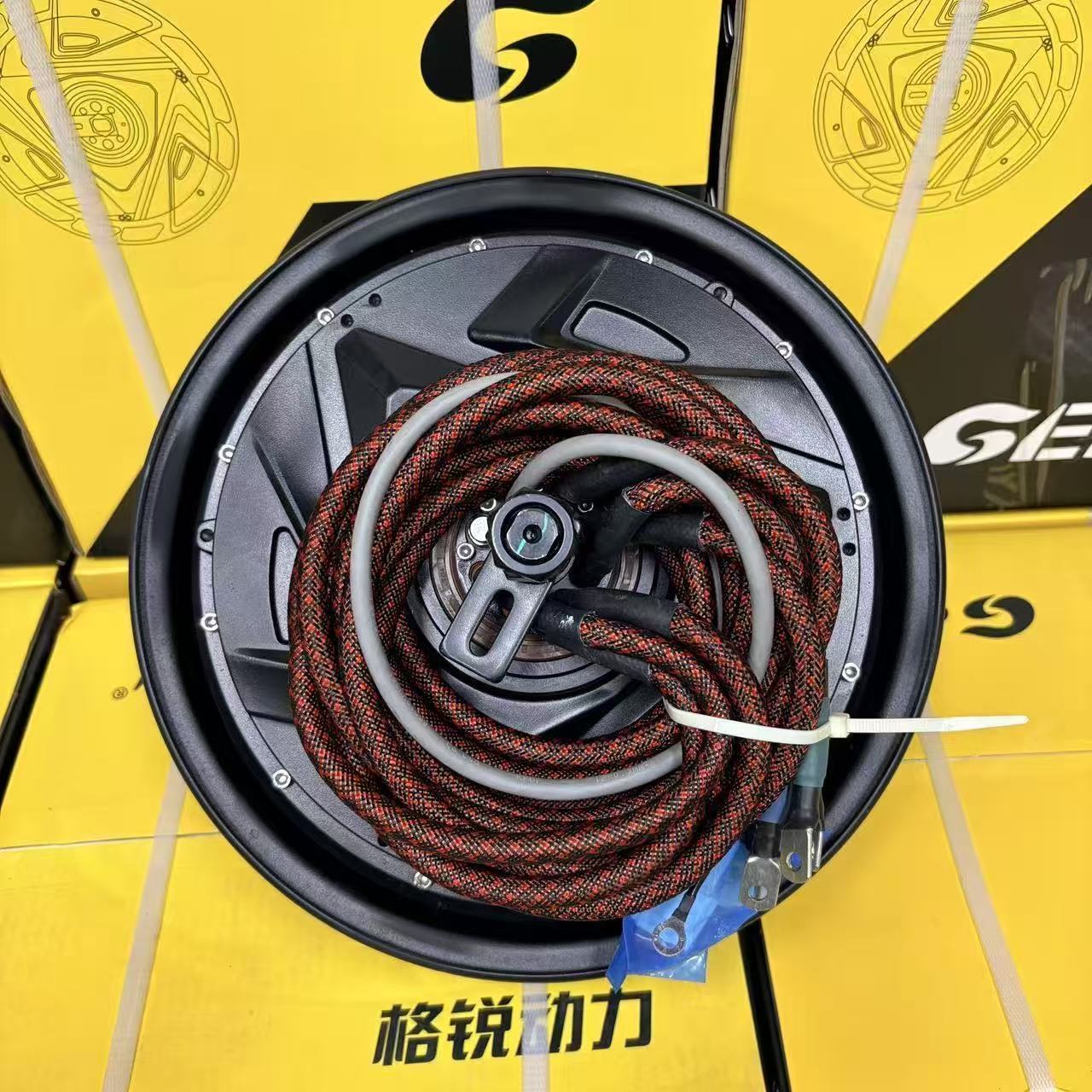 九号 m5原厂直上12寸18 轴金宇星格锐6000wp电机