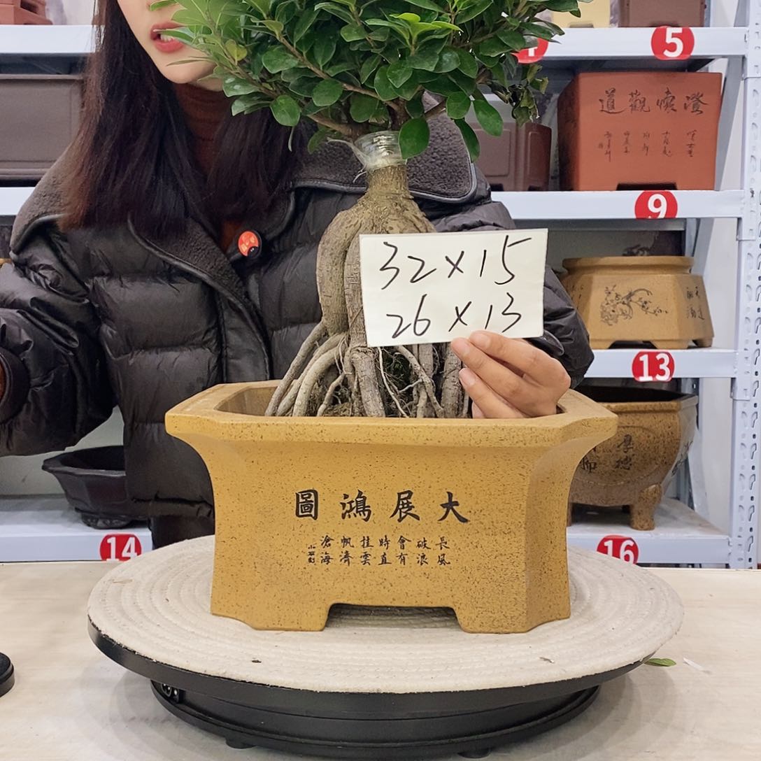 紫砂花盆紫砂花盆