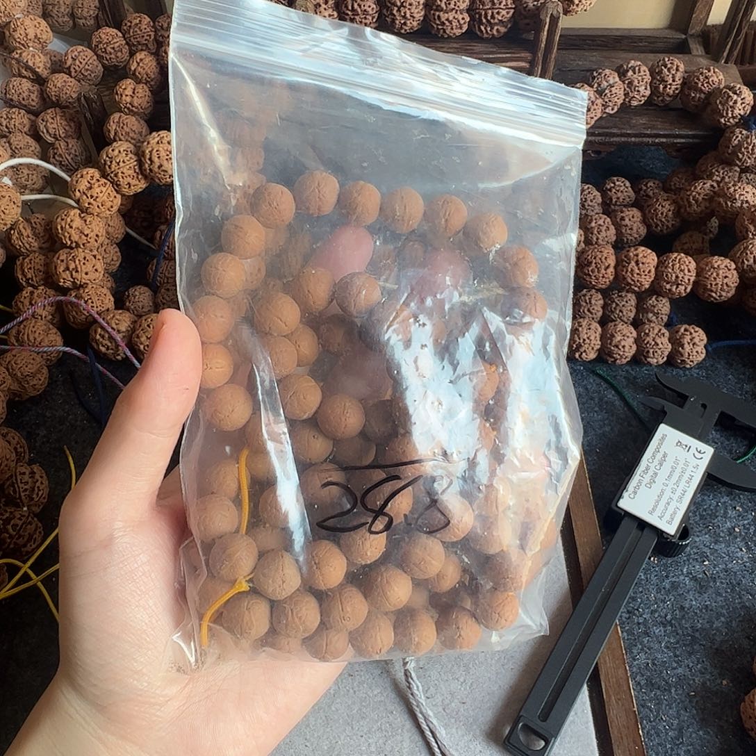 用***8吊坠金刚菩提2///////