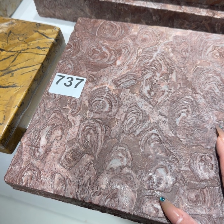 11111111111用****5111111111