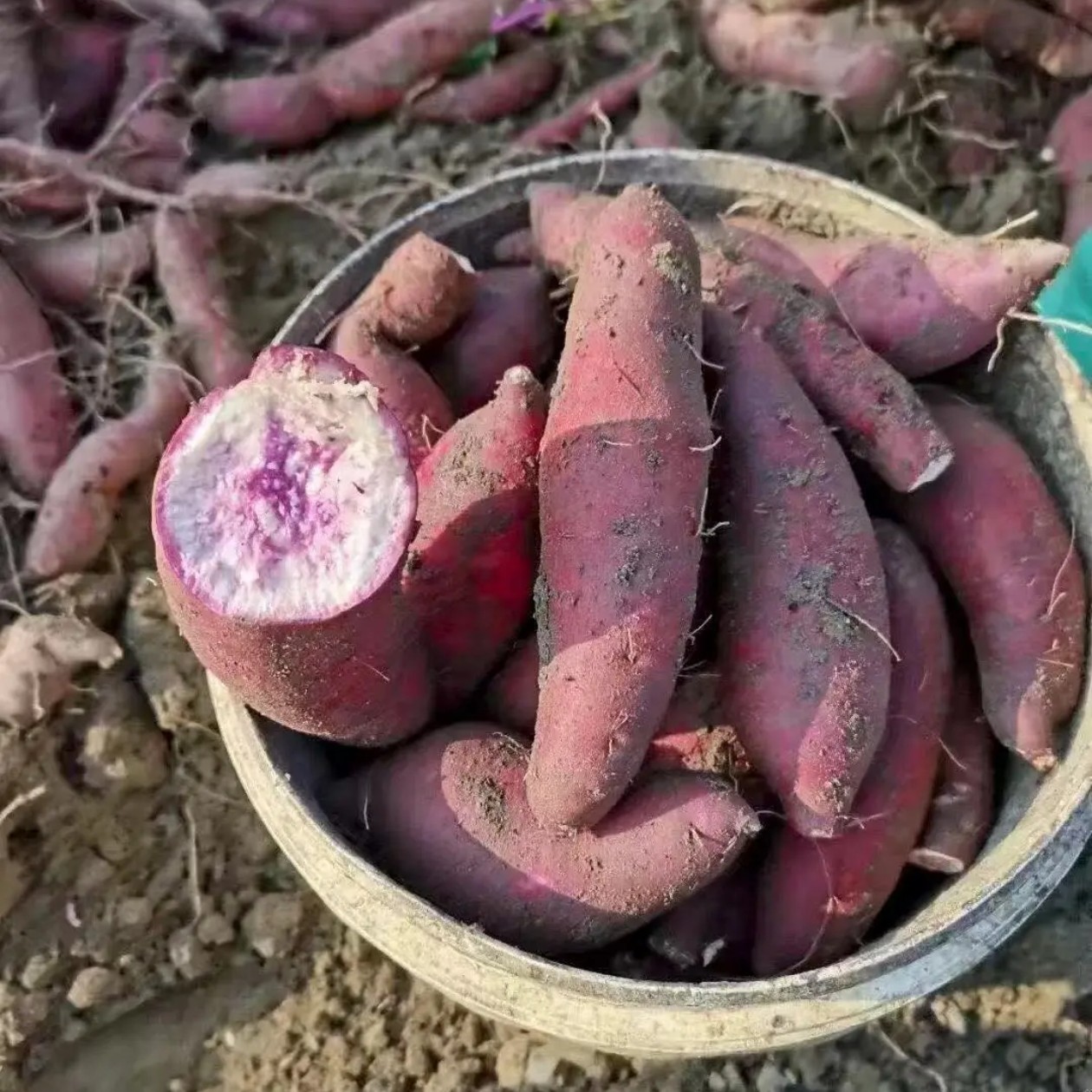 湘西正宗高山冰淇淋紫薯红薯番薯地瓜