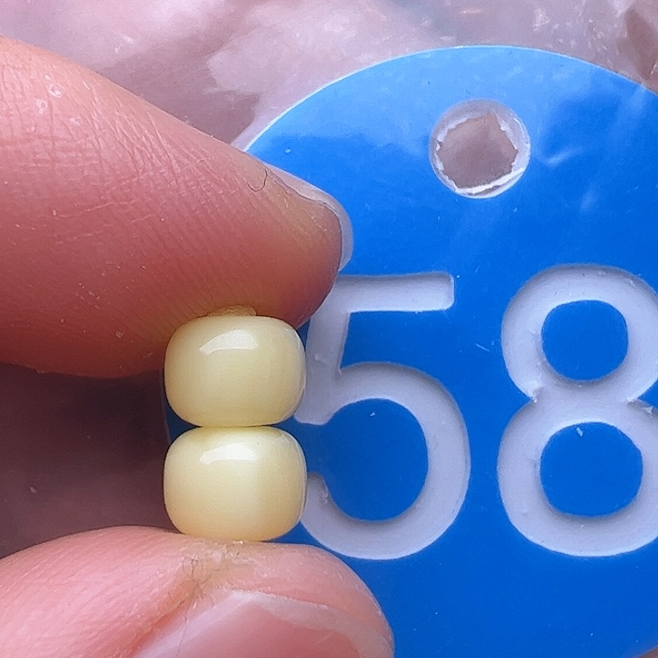 蜜蜡裸石未镶嵌6.3m m