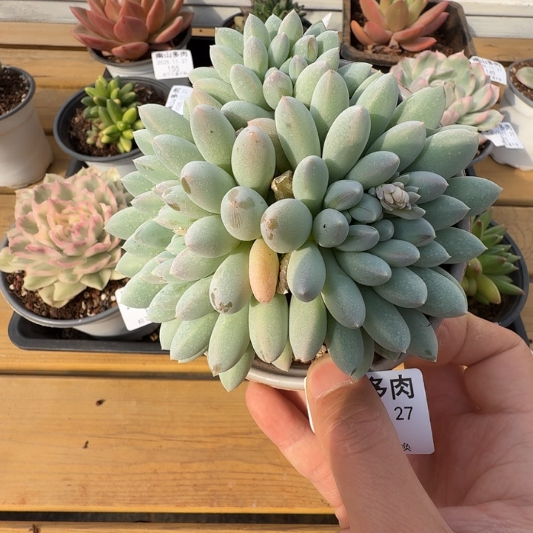 奶糖1111111127-150