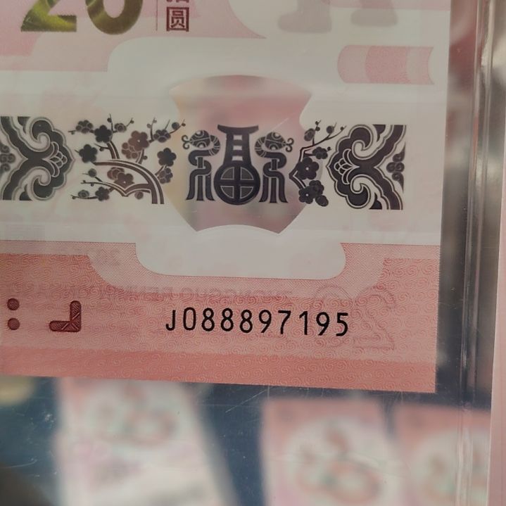 塑料蛇钞单张评级088897195