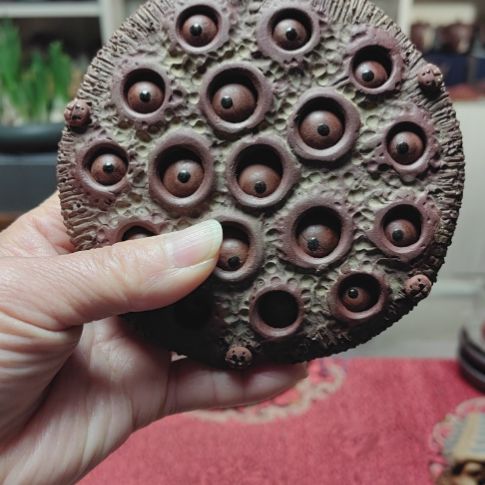 紫砂茶壶莲蓬全工制作