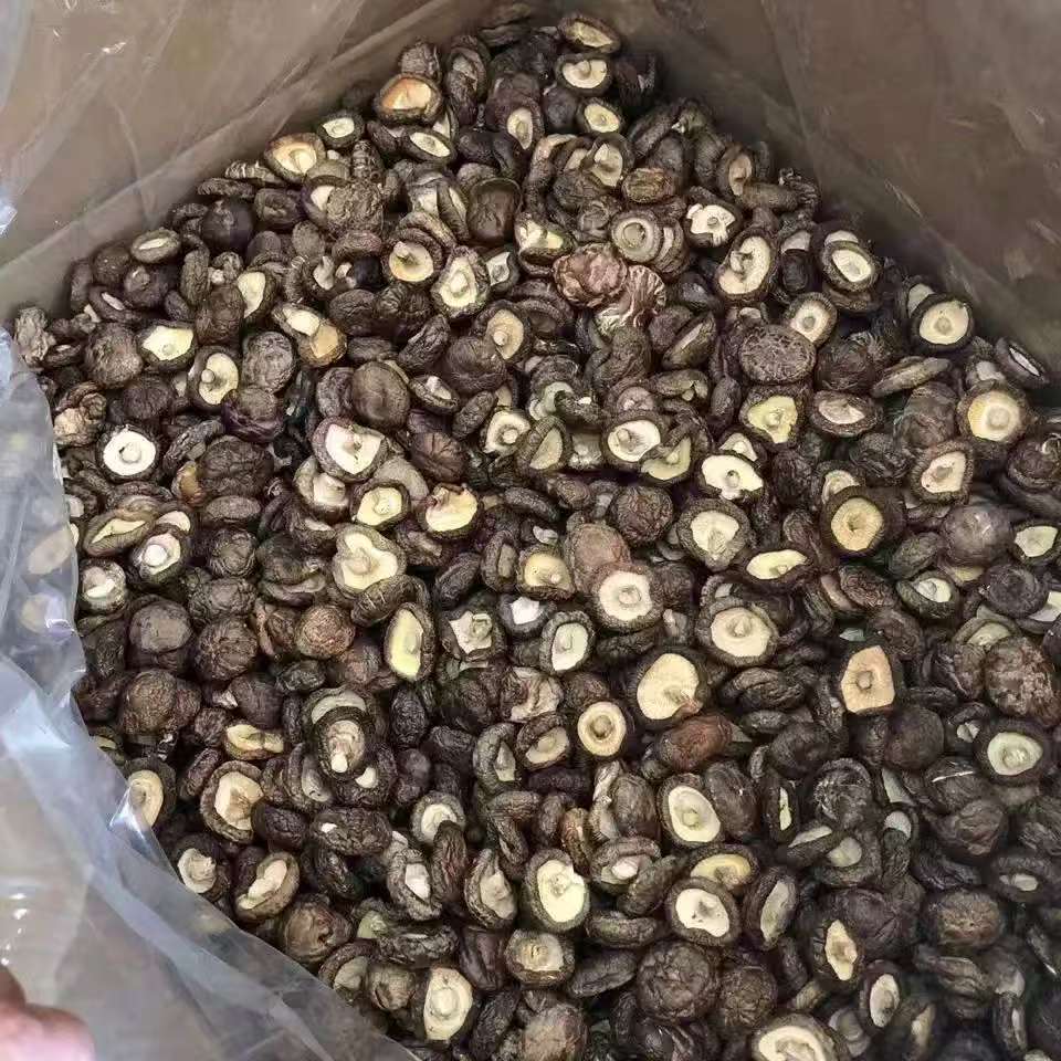 农家代收小香菇250g