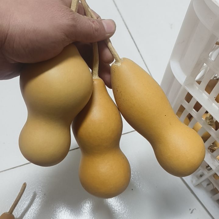 平***心本章本章三把本章