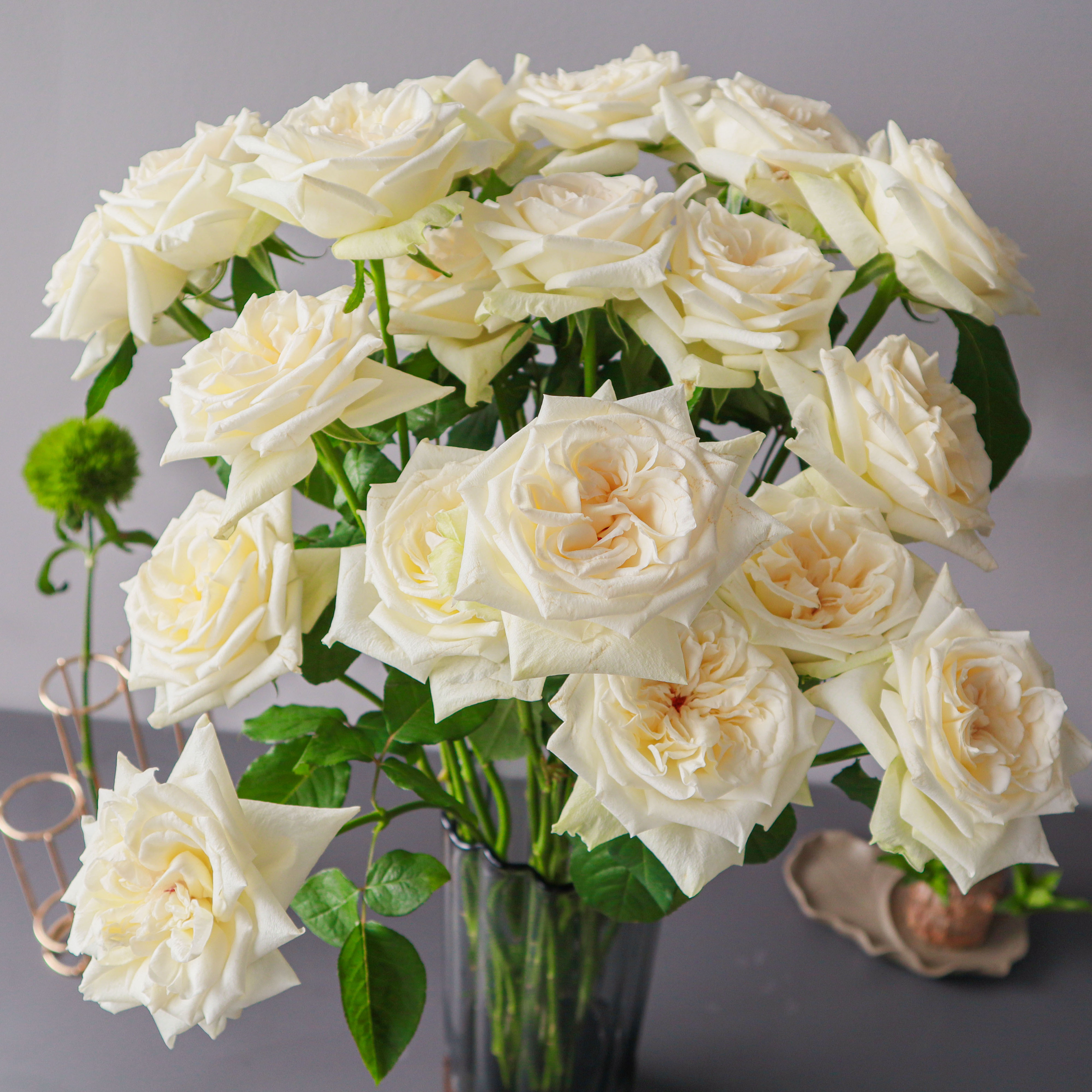 单头白荔枝玫瑰奥斯汀玫瑰鲜切花云南基地直发顺丰