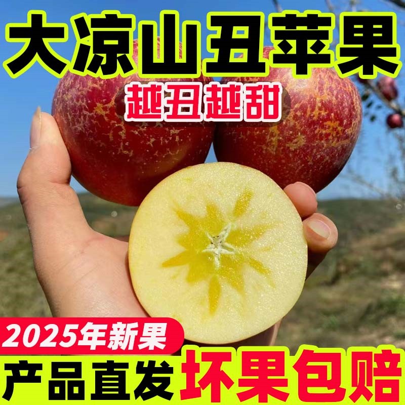 【糖心丑苹果】大凉山盐源苹果应季水果脆甜多汁tt（个头偏小）