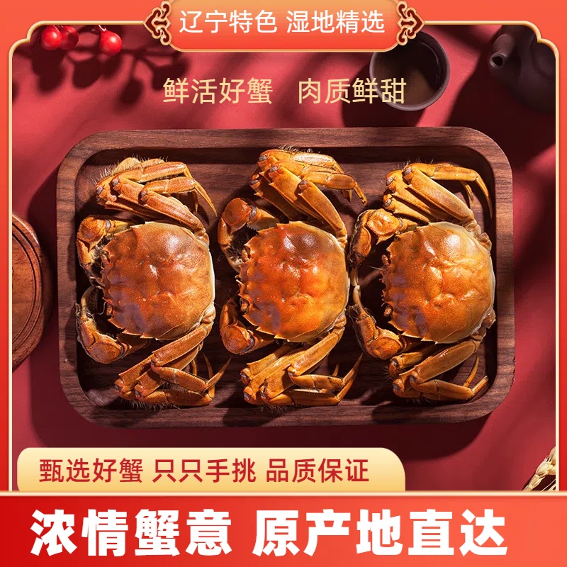 【活蟹】盘锦河蟹 母蟹1.6-1.4两/只 18只 新鲜到家