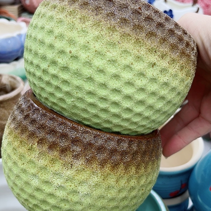 多肉绿植陶瓷花盆