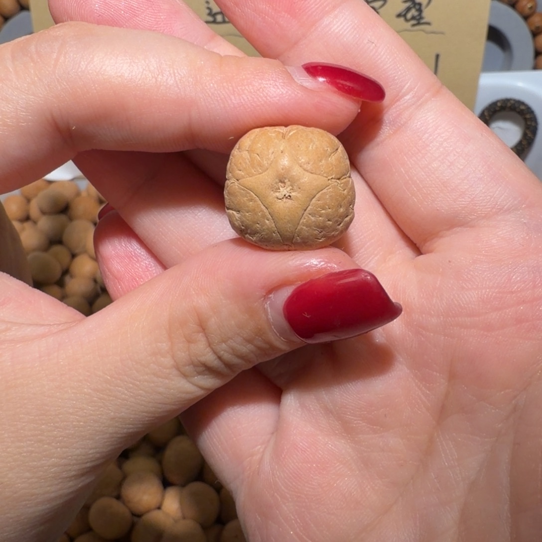 l***u吊坠凤眼菩提Lou老板