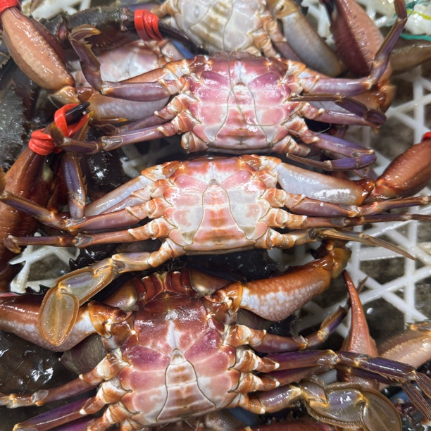 【保鲜不保活】 断氧赤甲红 无售后3斤 单只1.5两左右 一斤7只左右