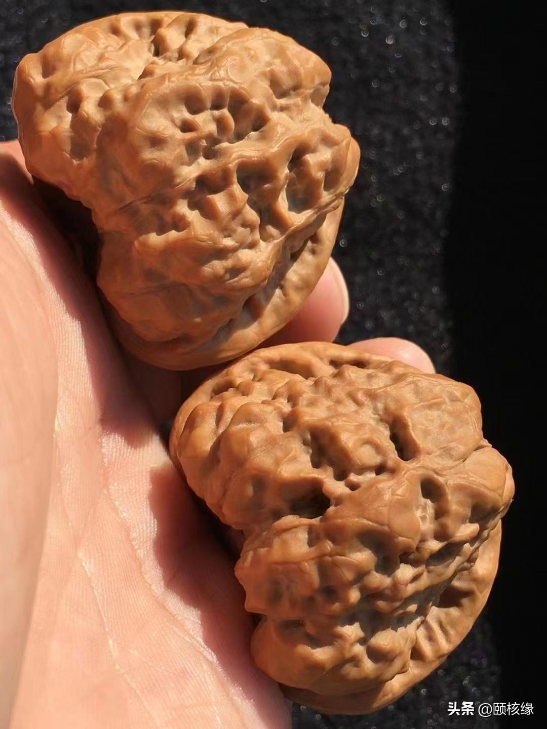 青皮现拍现开不退不换