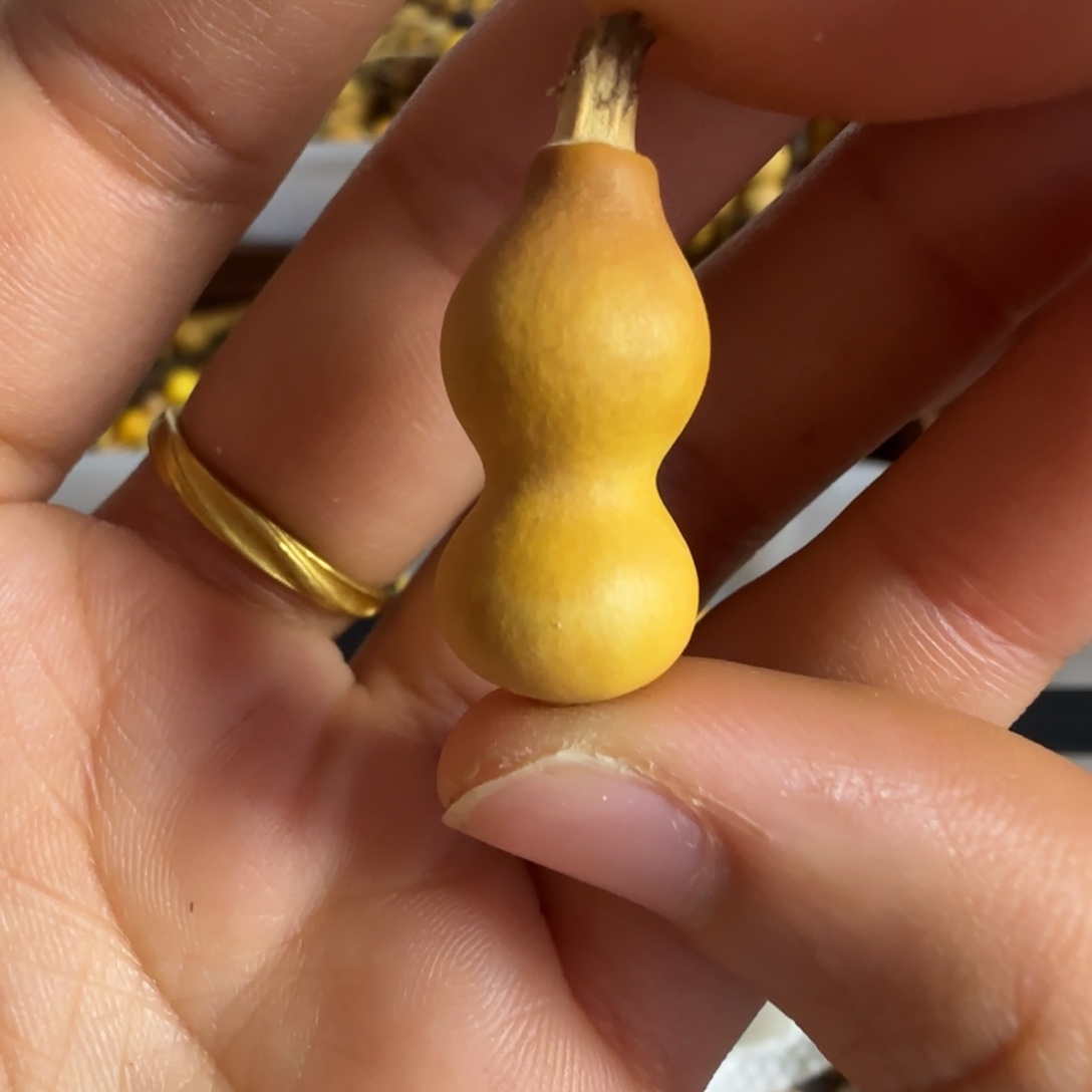 打孔后不退不换！