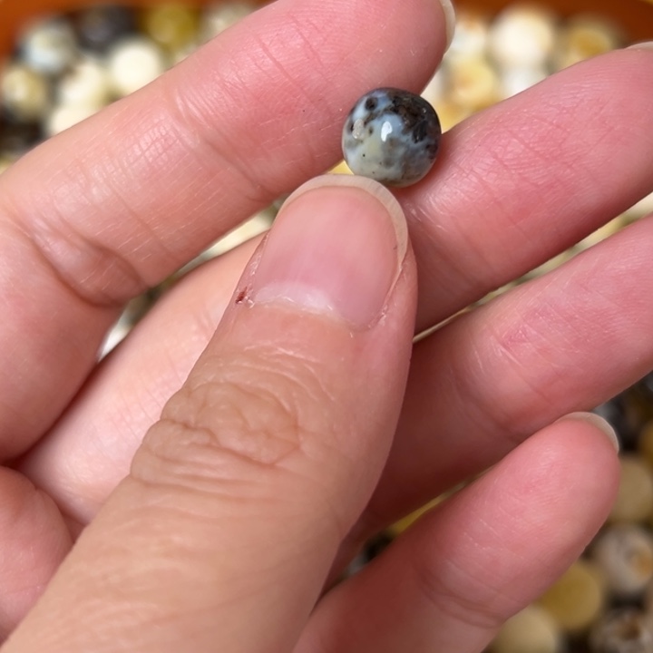 蜜蜡未镶嵌裸石8.6mm一个