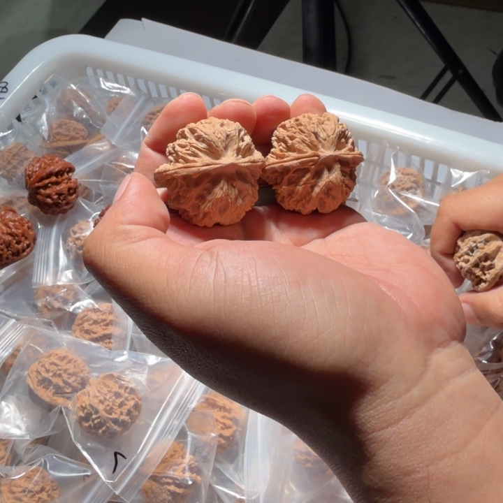 把件文玩核桃1042号全品苹果园40mm以下