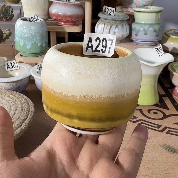 满28包邮当天凑够口5高6