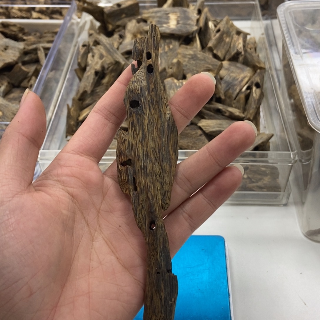 沉香乌身虫漏15克
