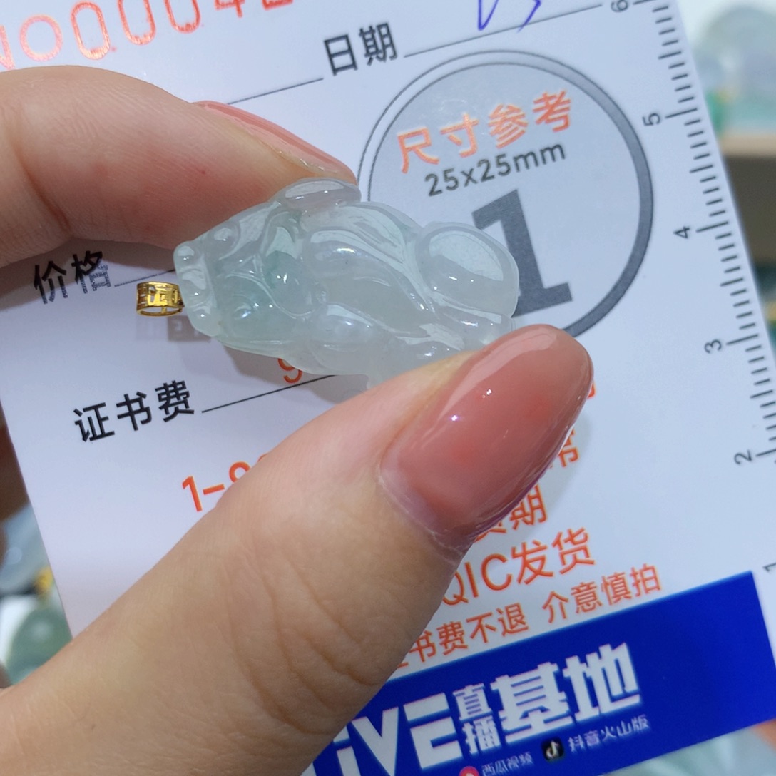 翡翠颈饰未镶嵌貔貅25