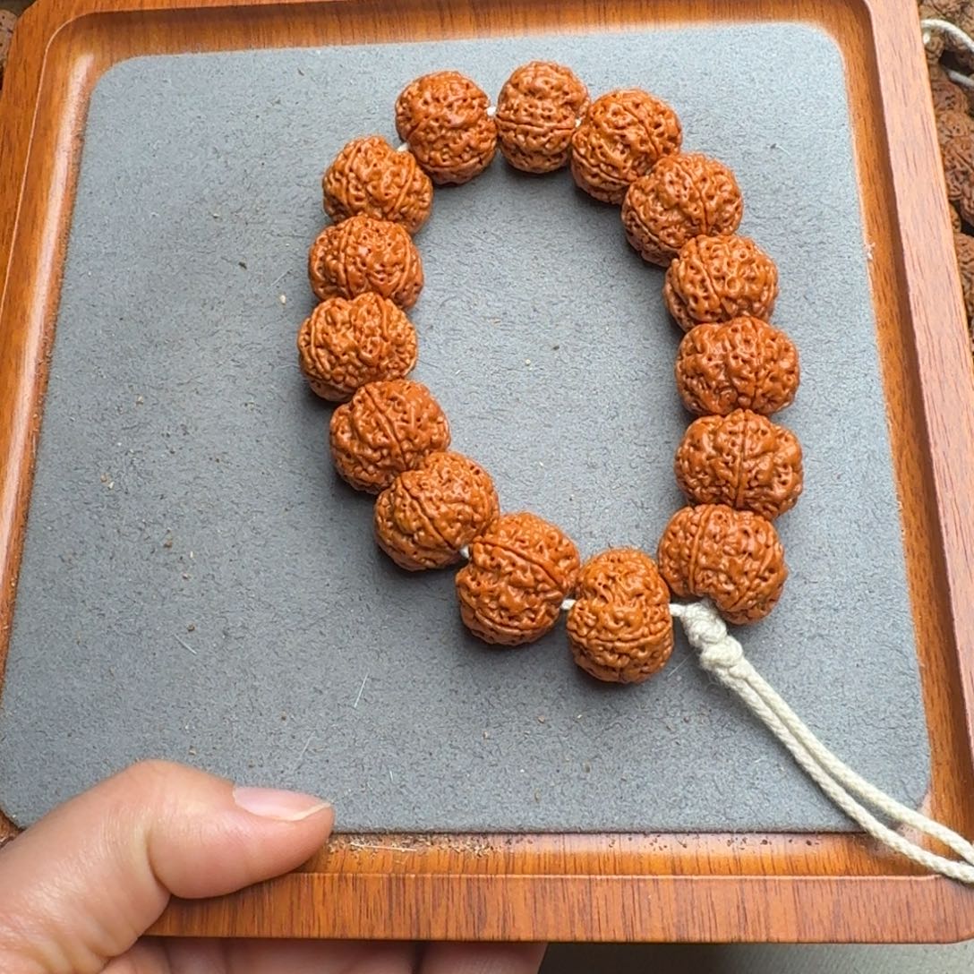 菩提菩提6号尼泊尔大金刚21满肉蜂窝