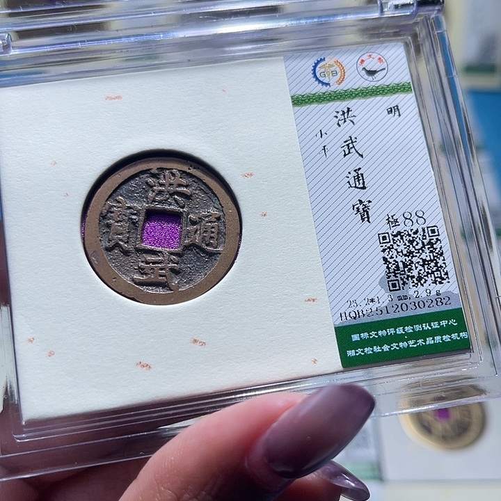 铜福宝洪武通宝0282