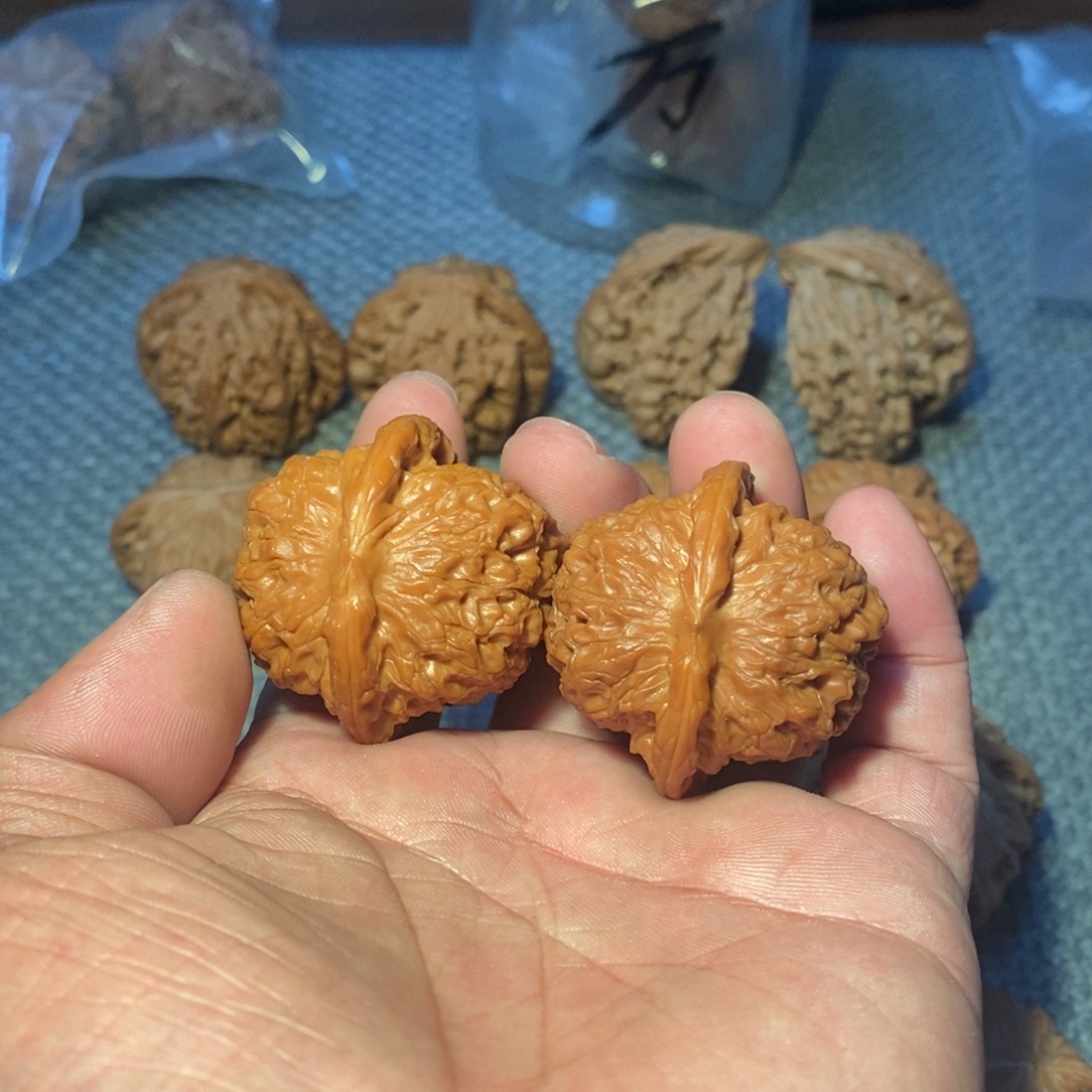 40血麒麟。       