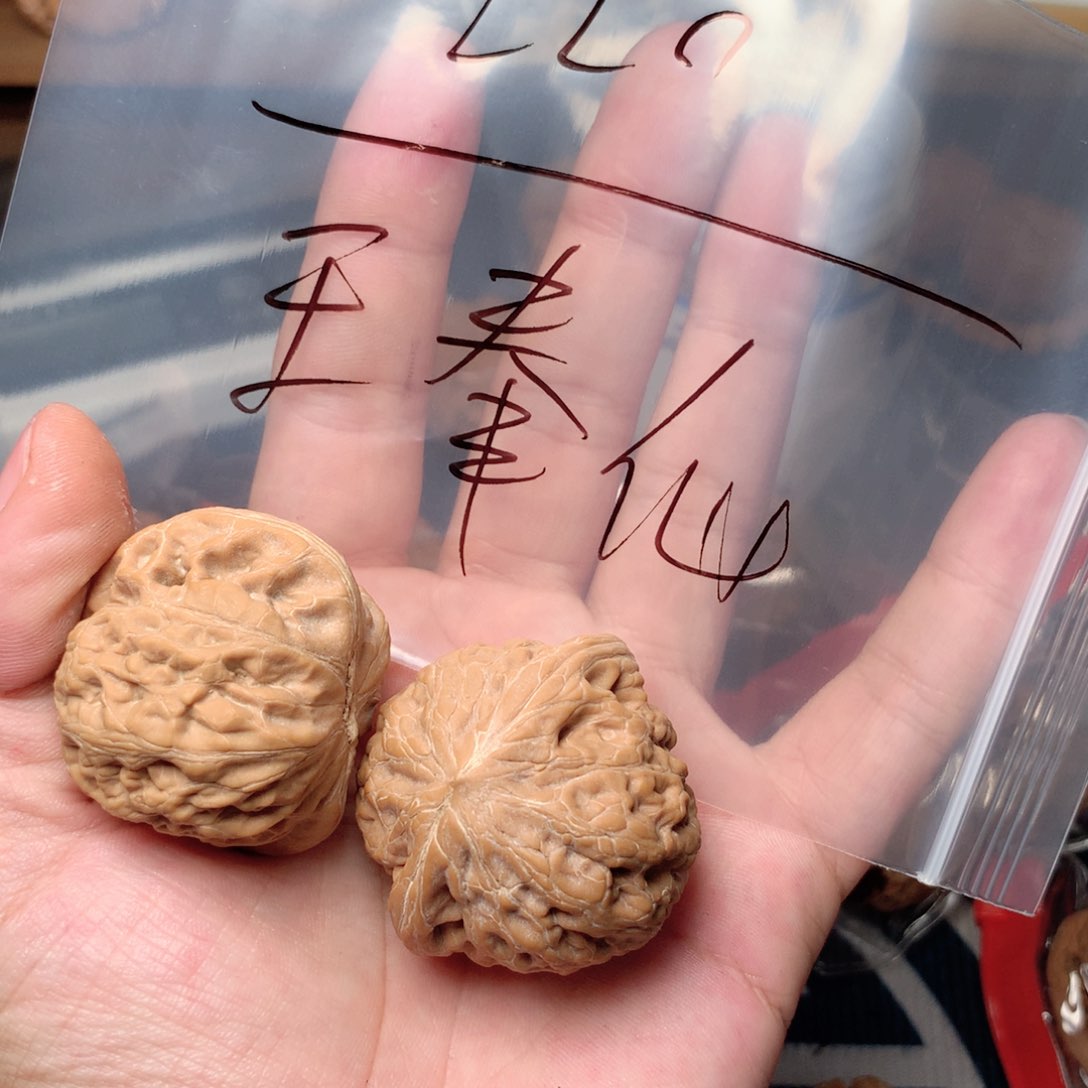 文玩核桃吊坠王*仙铁锤