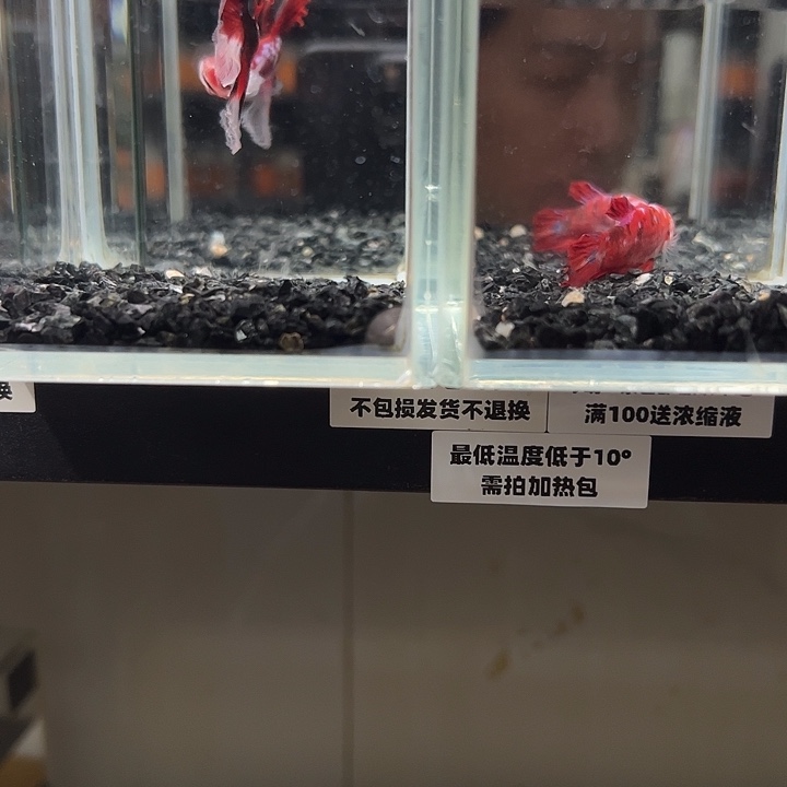 斗鱼跑单拉黑11日54+46