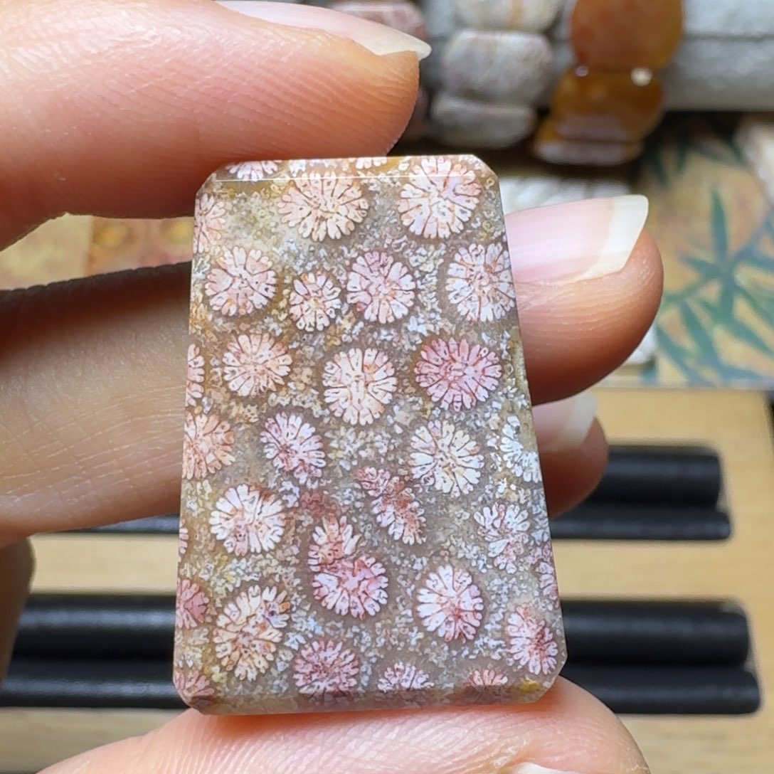 硅化玉彩瓷片，又美又优未镶嵌