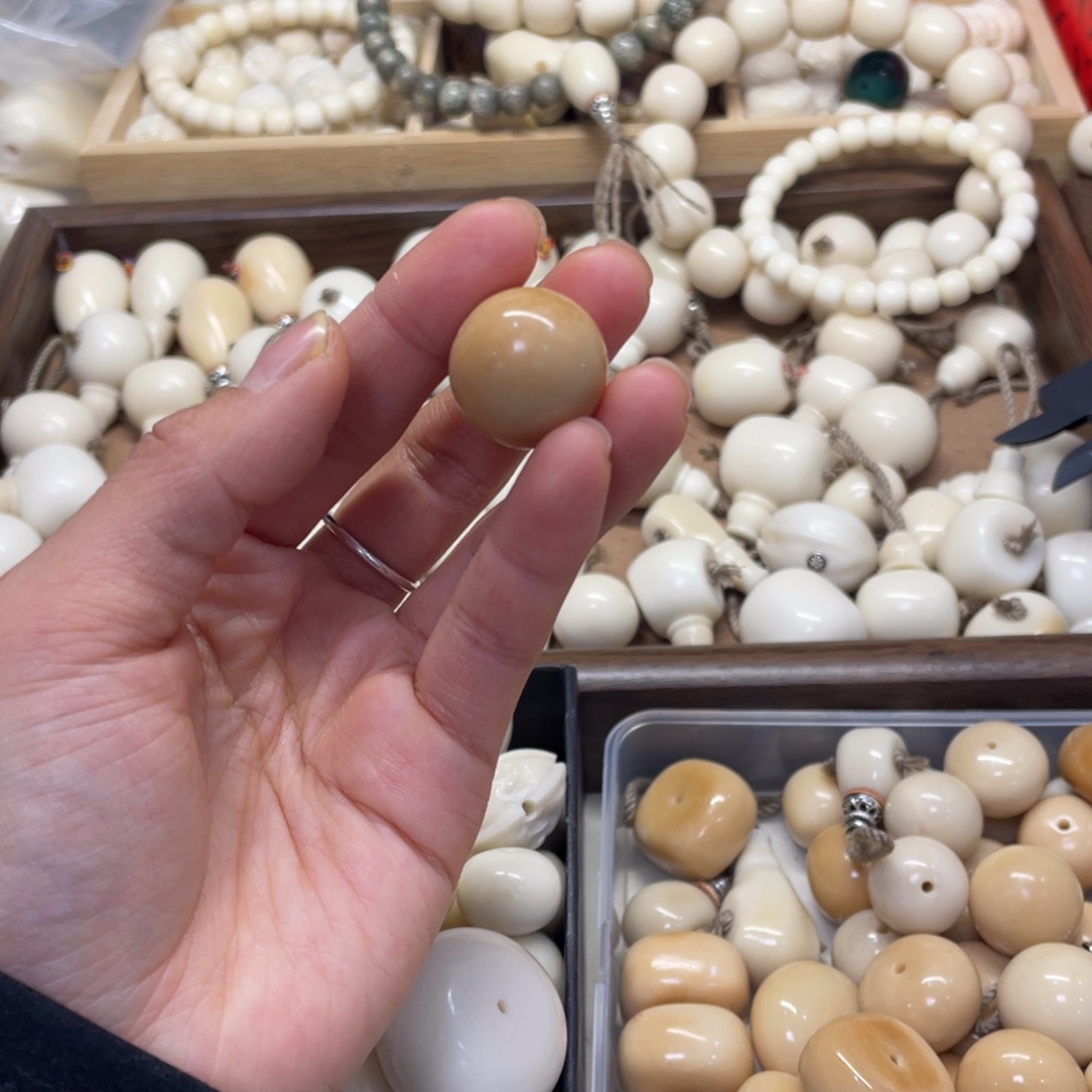 L***e菩提根/象牙果吊坠